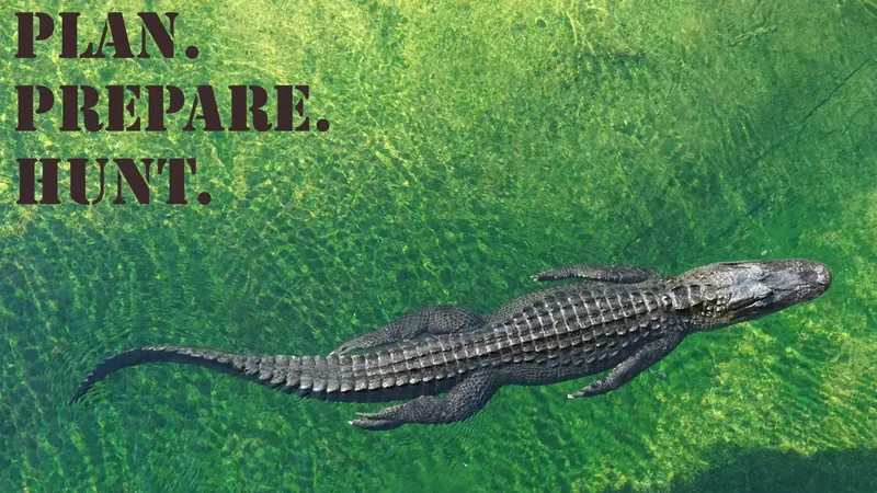 PPH_16x9_Alligator_American (1)