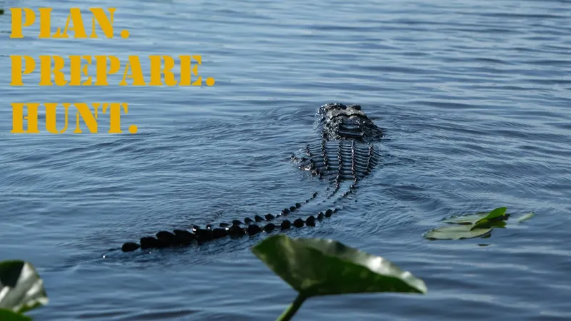 PPH_16x9_Alligator_American (2)