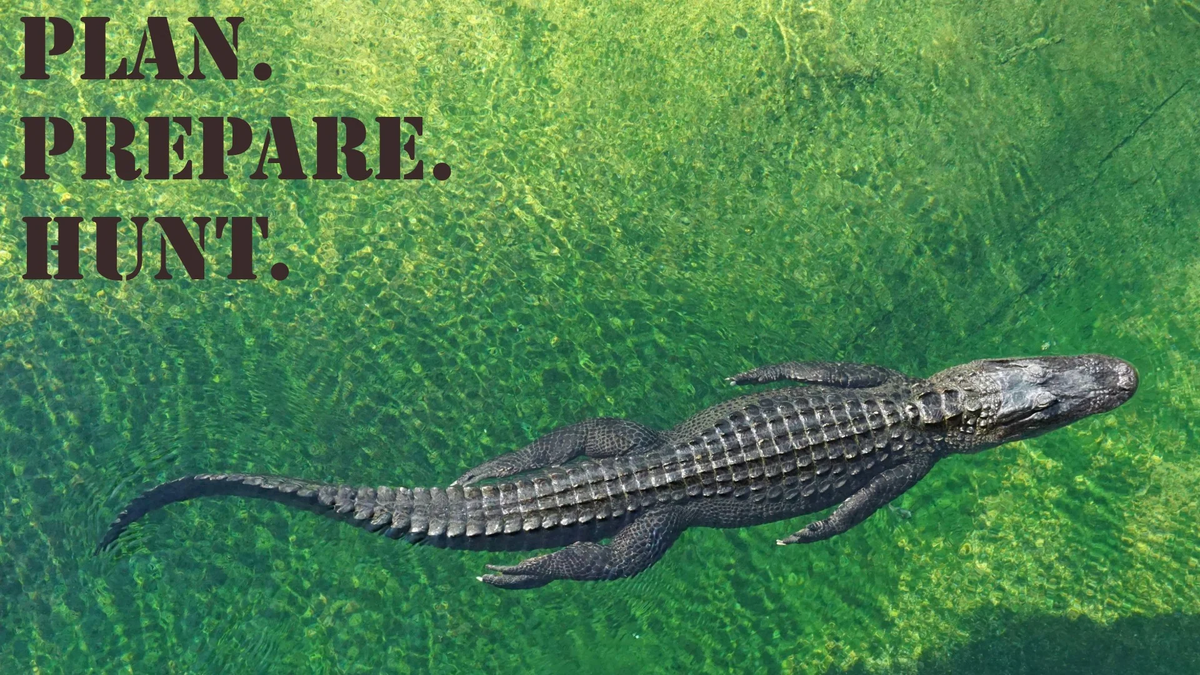 PPH_16x9_Alligator_American (1)