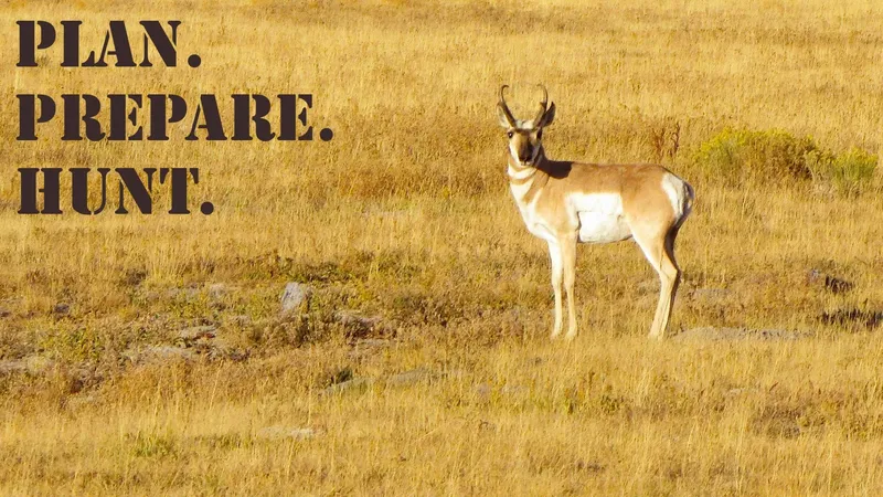 PPH_16x9_Antelope_Pronghorn (2)