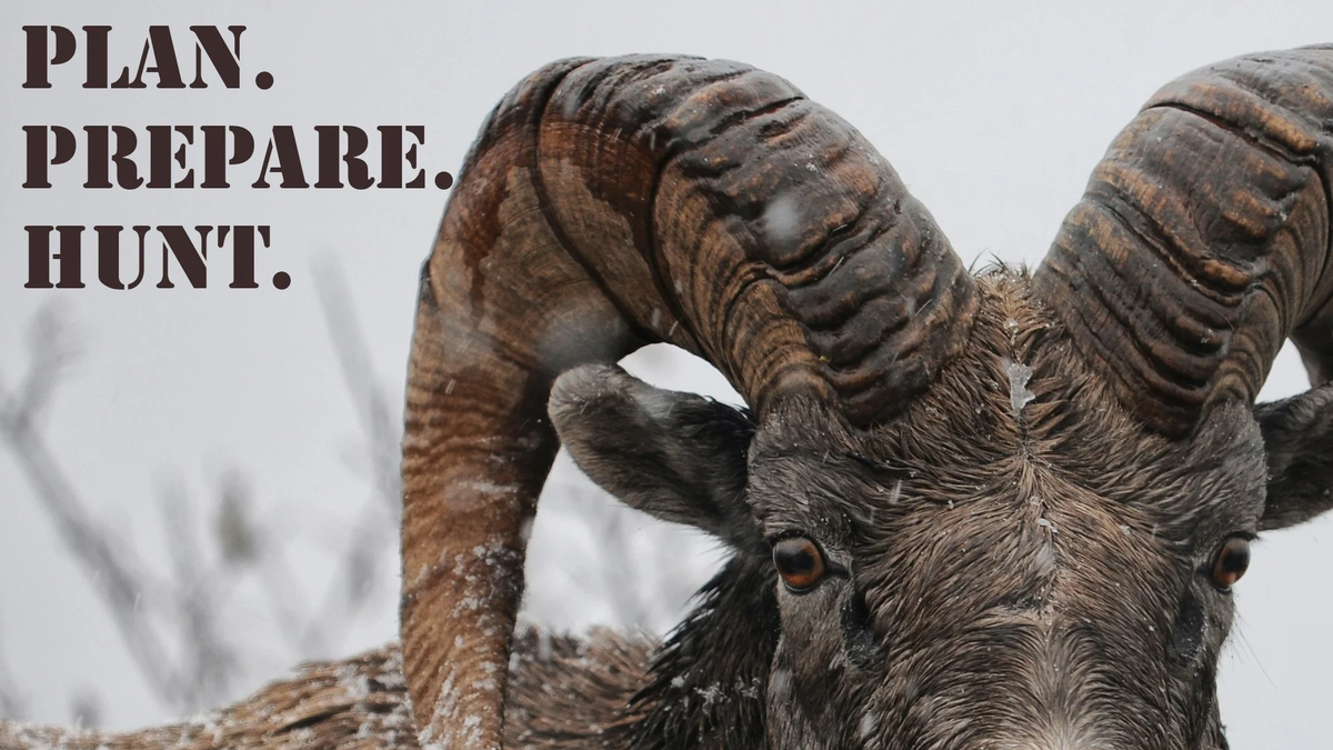 PPH_16x9_Bighorn (1)