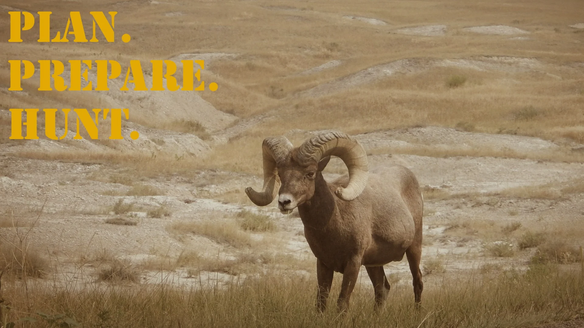 PPH_16x9_Bighorn (2)