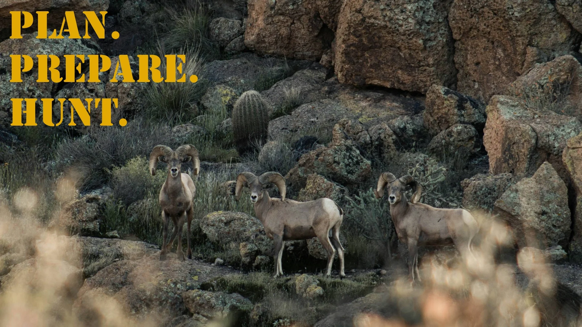 PPH_16x9_Bighorn (3)