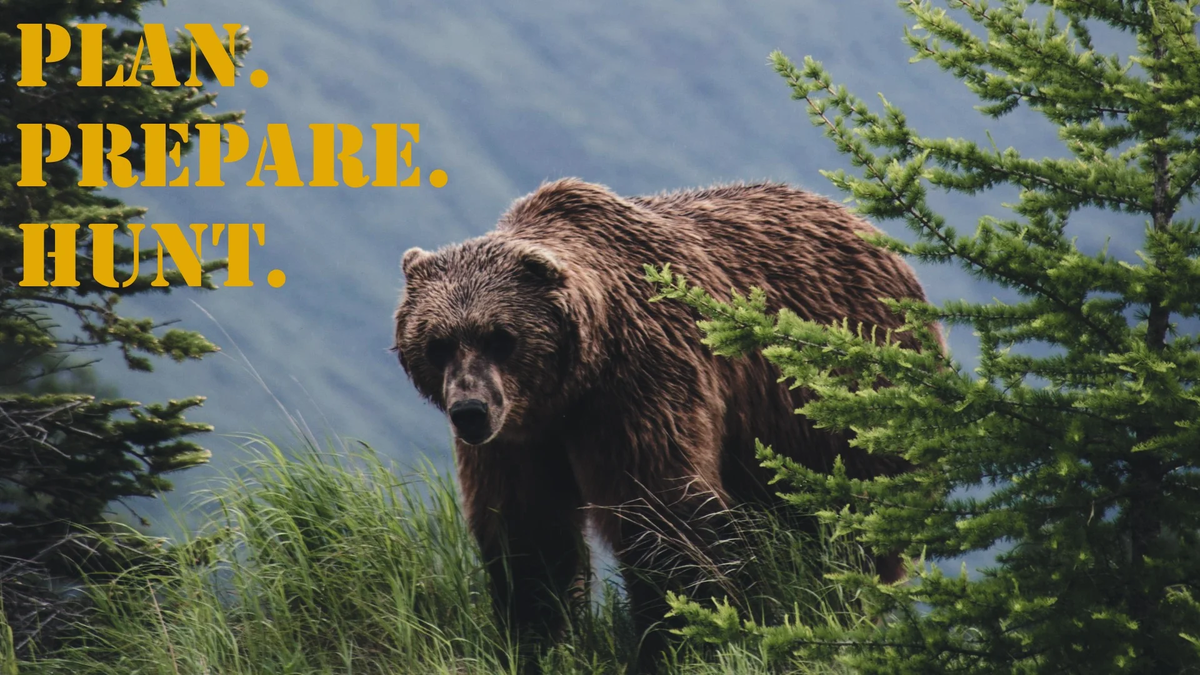 PPH_16x9_Brown_Bear (1)