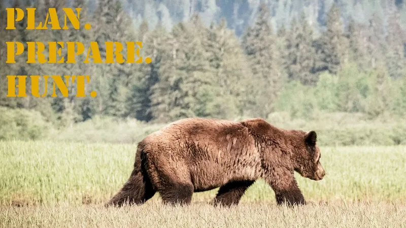 PPH_16x9_Brown_Bear (2)