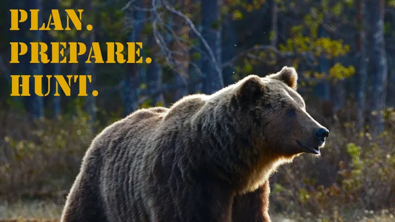 PPH_16x9_Brown_Bear (4)