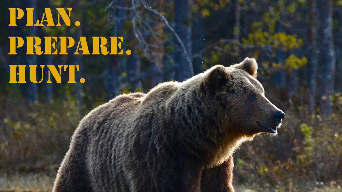 PPH_16x9_Brown_Bear (4)