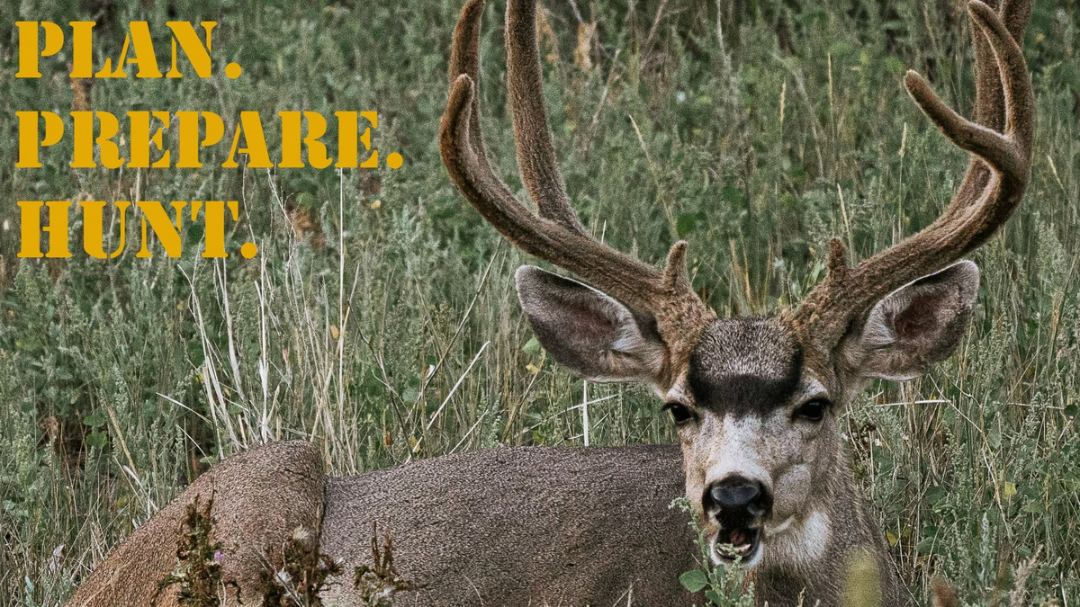 PPH_16x9_Deer_Mule (2)