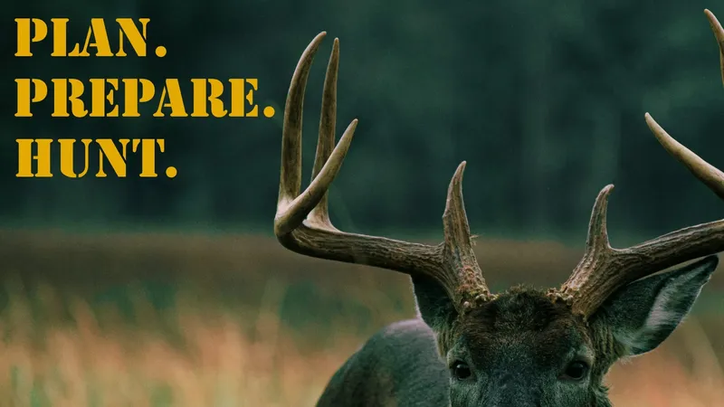 PPH_16x9_Deer_White-tailed (3)