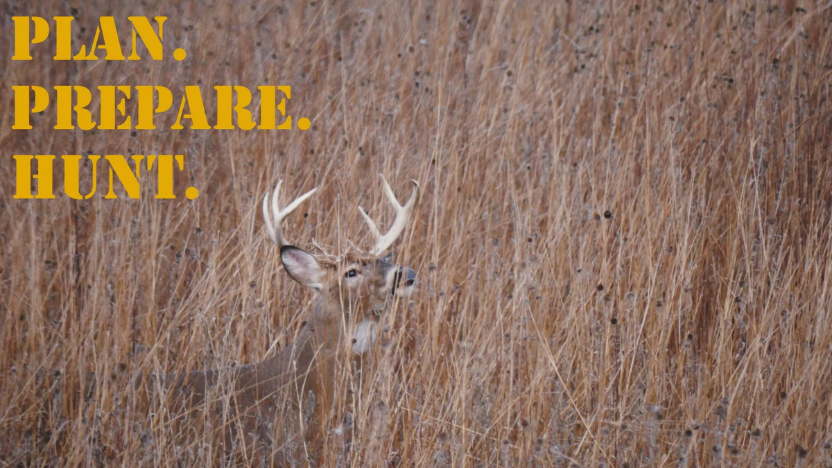 PPH_16x9_Deer_White-tailed1 (1)