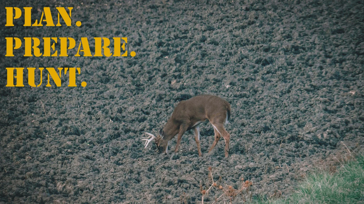 PPH_16x9_Deer_White-tailed1 (2)