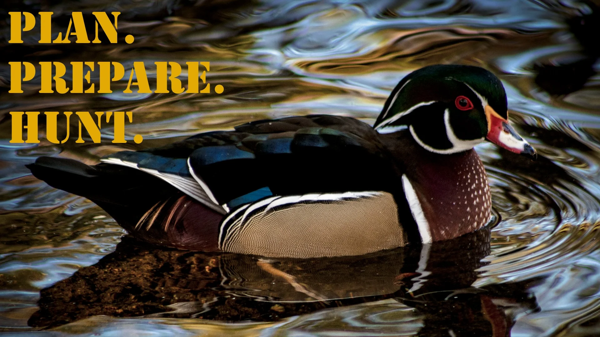 PPH_16x9_Duck_Wood (2)