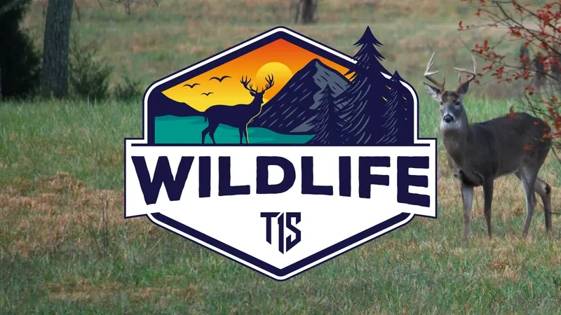 Wildlife_OG_16x9